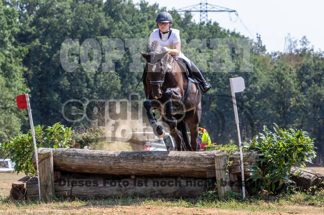 Late-Entry Vielseitigkeit Hamminkeln/Wesel (01.+02.08.2020)