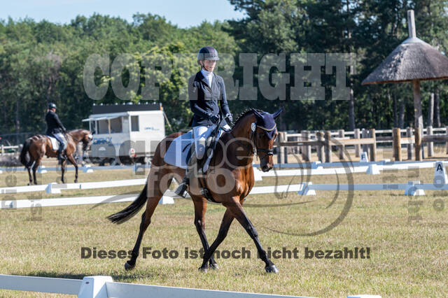 Kronenberg - De Peelbergen (August 2020)