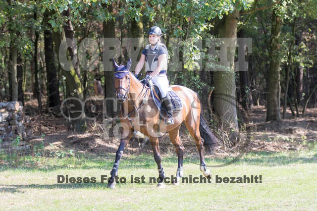 Vielseitigkeitsturnier RSV St. Hubertus Wesel Obrighoven