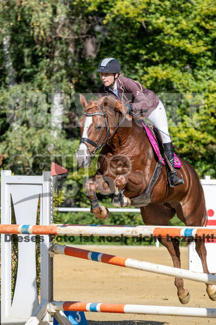 RFV Dinslaken-Hiesfeld (Herbstturnier)