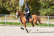 IGV Lehrgang der Sieger der Cups mit Frank Ostholt
