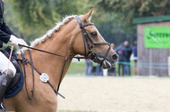 IGV Kleve