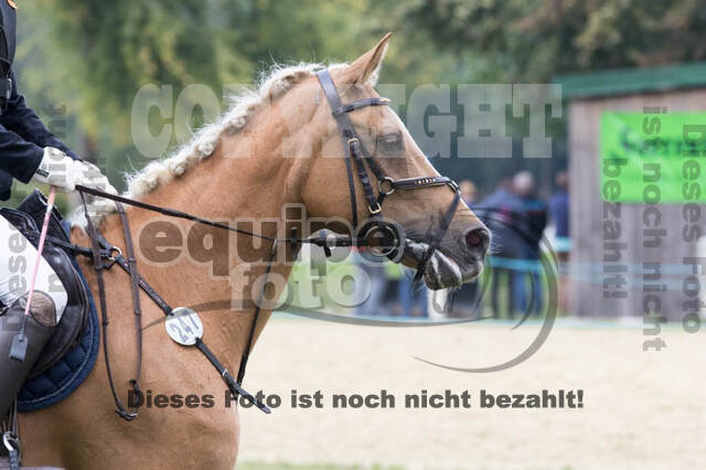 IGV Kleve