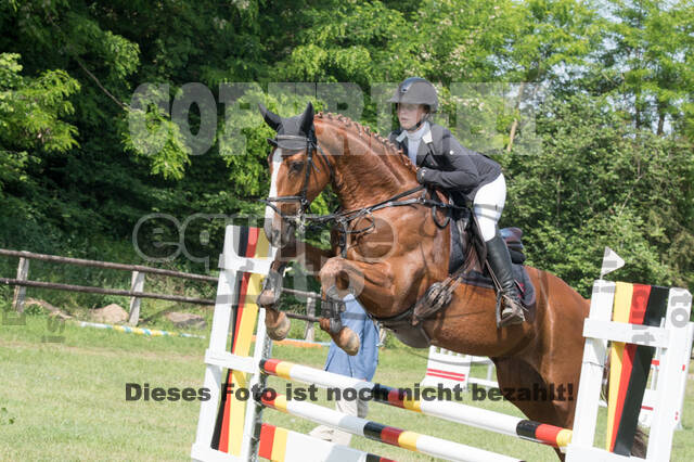 Vielseitigkeitsturnier ZRuFV von Lützow Hamminkeln