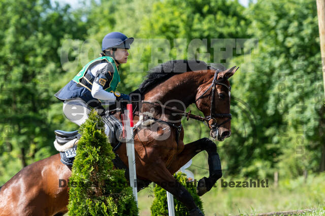 Westerstede Horse Trials (10.-13.06.2021)