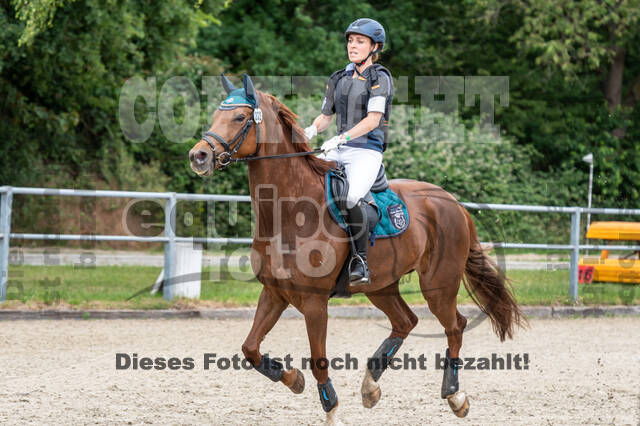 Late-Entry-Vielseitigkeit Langenfeld (11.+13./14.06.2020)