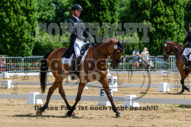 Westerstede Horse Trials 2021