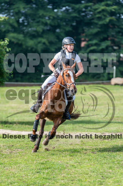 Goldene Schärpe 2021 - Ponys