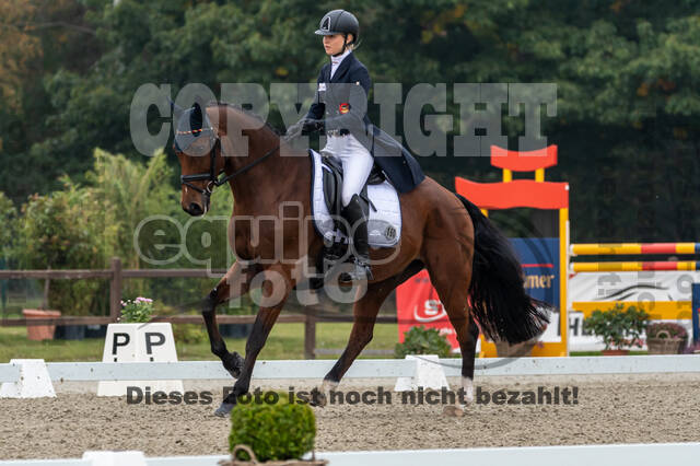 Deutsche Meisterschaft Vielseitigkeit (Luhmühlen)