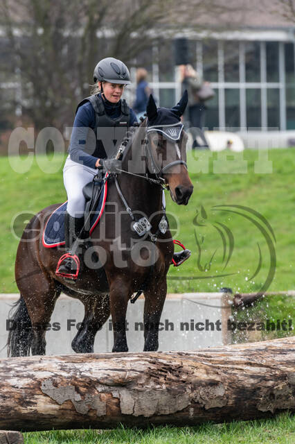 Goldene Schärpe 2020 - Pferde