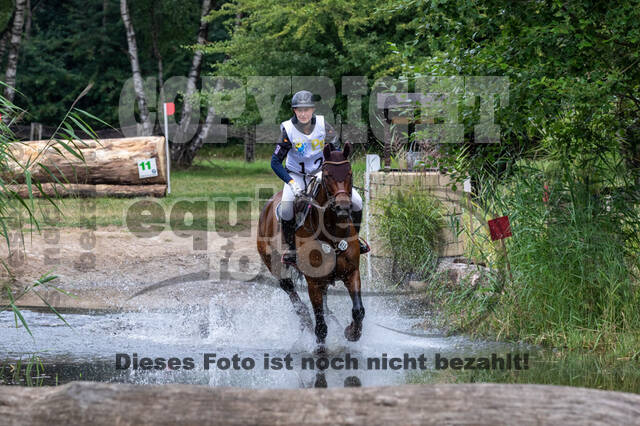 Late-Entry Vielseitigkeit Hamminkeln/Wesel (01.+02.08.2020)