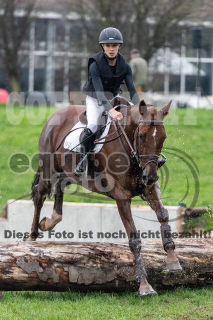 Goldene Schärpe 2020 - Pferde