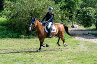 Goldene Schärpe 2021 - Ponys