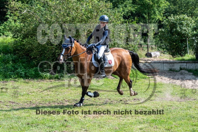 Goldene Schärpe 2021 - Ponys