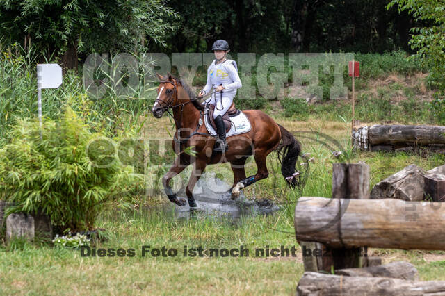 Late-Entry Vielseitigkeit Hamminkeln/Wesel (01.+02.08.2020)
