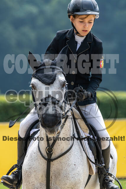 Goldene Schärpe 2021 - Ponys
