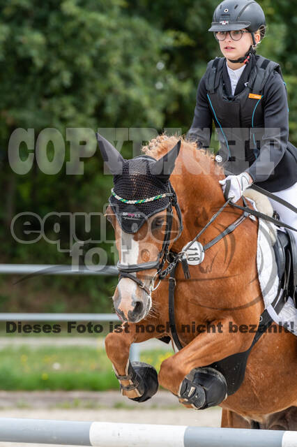 Late-Entry-Vielseitigkeit Langenfeld (06.+07.07.2020)