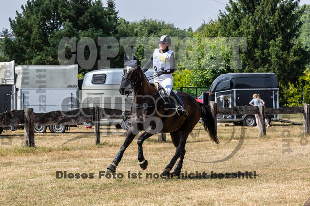 Late-Entry Vielseitigkeit Hamminkeln/Wesel (01.+02.08.2020)