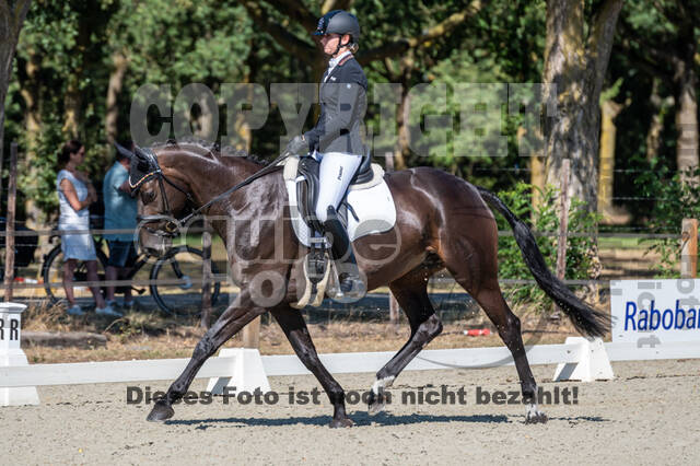 Kronenberg - De Peelbergen (August 2020)