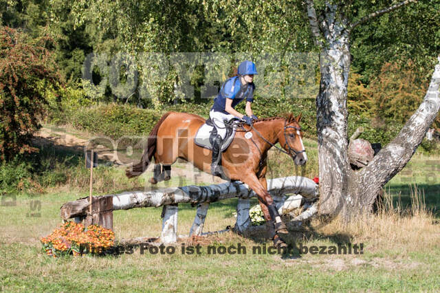 Vielseitigkeitsturnier RSV St. Hubertus Wesel Obrighoven