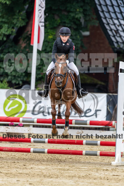 Goldene Schärpe 2021 - Ponys