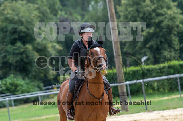Hunter Geländetraining 10.07.2021 (Sonsbeck)