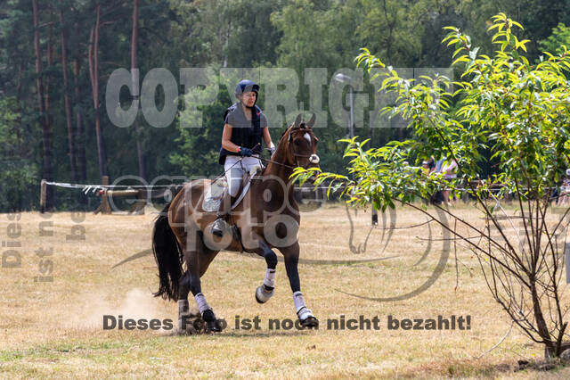 Late-Entry Vielseitigkeit Hamminkeln/Wesel (01.+02.08.2020)