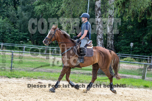 Hunter Geländetraining 10.07.2021 (Sonsbeck)