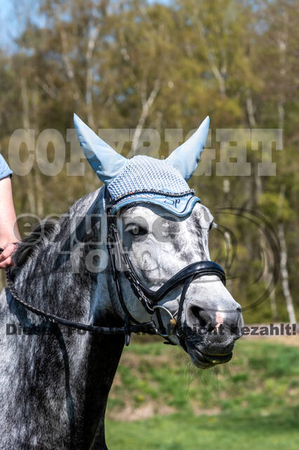Geländetraining Wesel bei Jarno (18.04.2022)