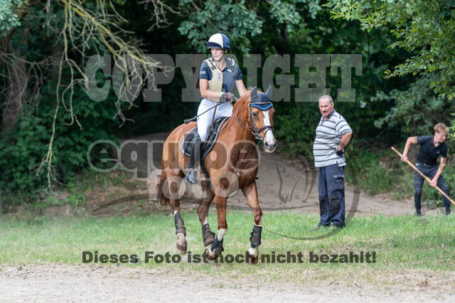 Late-Entry-Vielseitigkeit Langenfeld (11.+13./14.06.2020)
