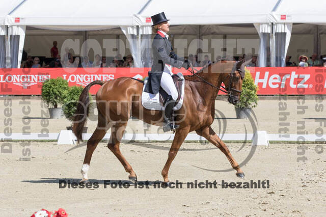 FEI European Championship Eventing 2017