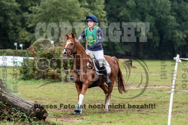 Vielseitigkeit RSV Wesel Obrighoven (26.+27.09.2020)