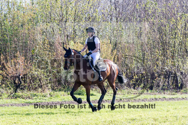 Vielseitigkeitsturnier RV Lippe-Bruch-Gahlen