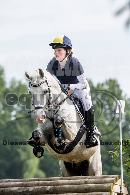 Goldene Schärpe 2021 - Ponys