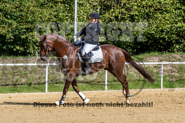 RFV Dinslaken-Hiesfeld (Herbstturnier)
