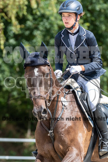 Late-Entry-Vielseitigkeit Langenfeld (06.+07.07.2020)