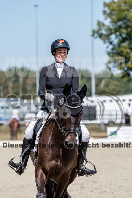 Kronenberg - De Peelbergen (August 2020)