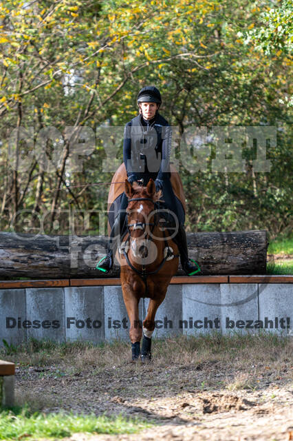 IGV Lehrgang der Sieger der Cups mit Frank Ostholt