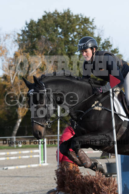 IGV Lehrgang der Sieger der Cups mit Frank Ostholt