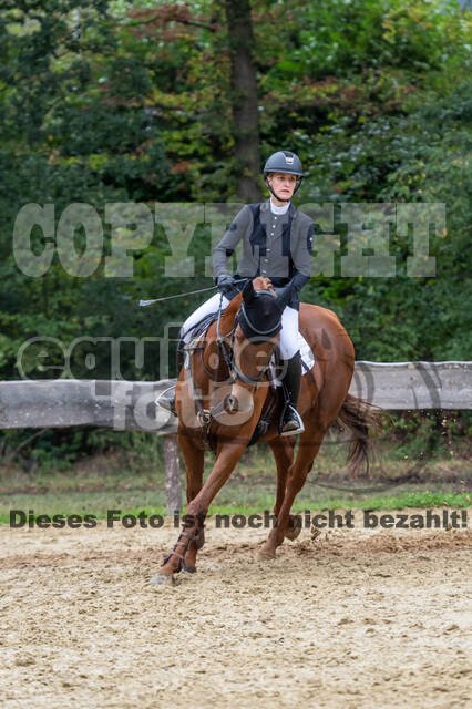 Vielseitigkeit RSV Wesel Obrighoven (26.+27.09.2020)