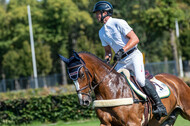 Kronenberg - De Peelbergen (August 2020)