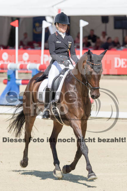 FEI European Championship Eventing 2017