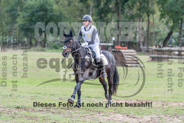 Vielseitigkeit RSV Wesel Obrighoven (26.+27.09.2020)