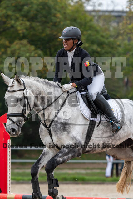 Goldene Schärpe 2020 - Pferde