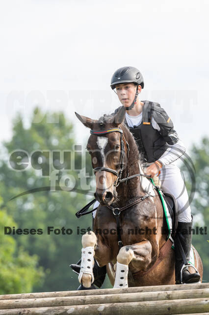 Goldene Schärpe 2021 - Ponys