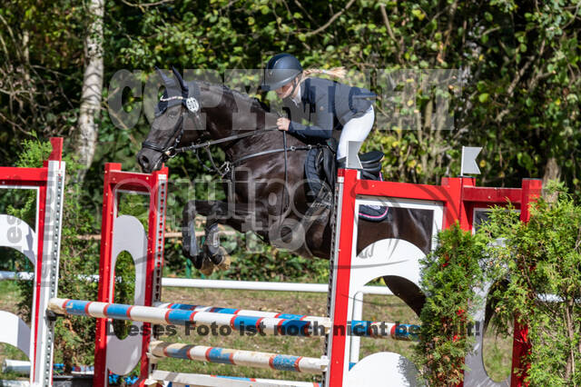 RFV Dinslaken-Hiesfeld (Herbstturnier)