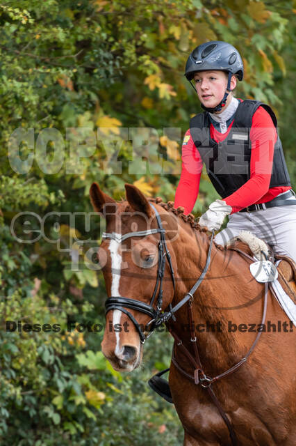 Goldene Schärpe 2020 - Pferde