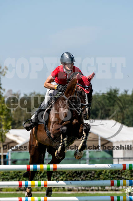 Kronenberg - De Peelbergen (August 2020)