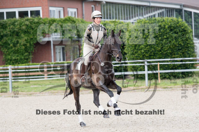 Eventing im Pferdesportzentrum Rheinland