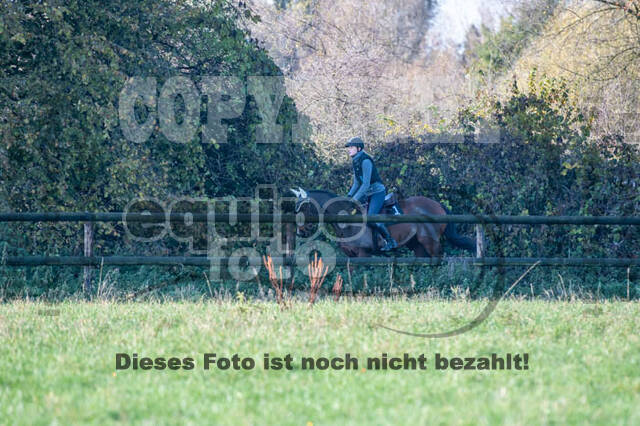 Vielseitigkeitslehrgang mit Jürg Kurbel (9.+10.11.2019)